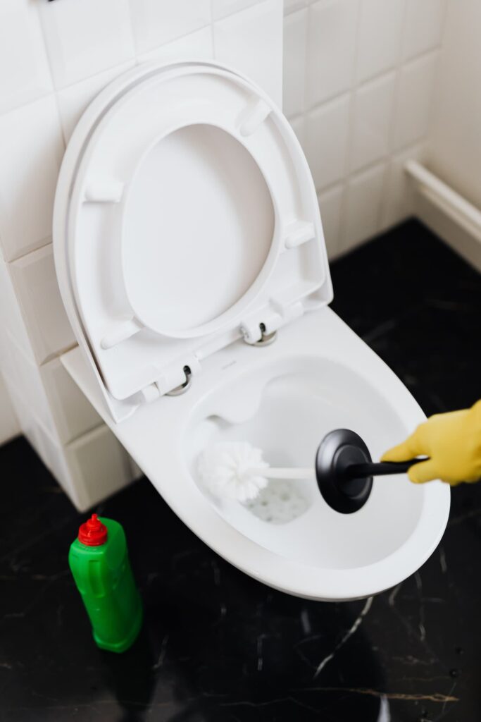 how-to-fix-toilet-flush